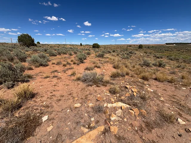 Expansive desert landscape featuring natural vegetation and a clear sky