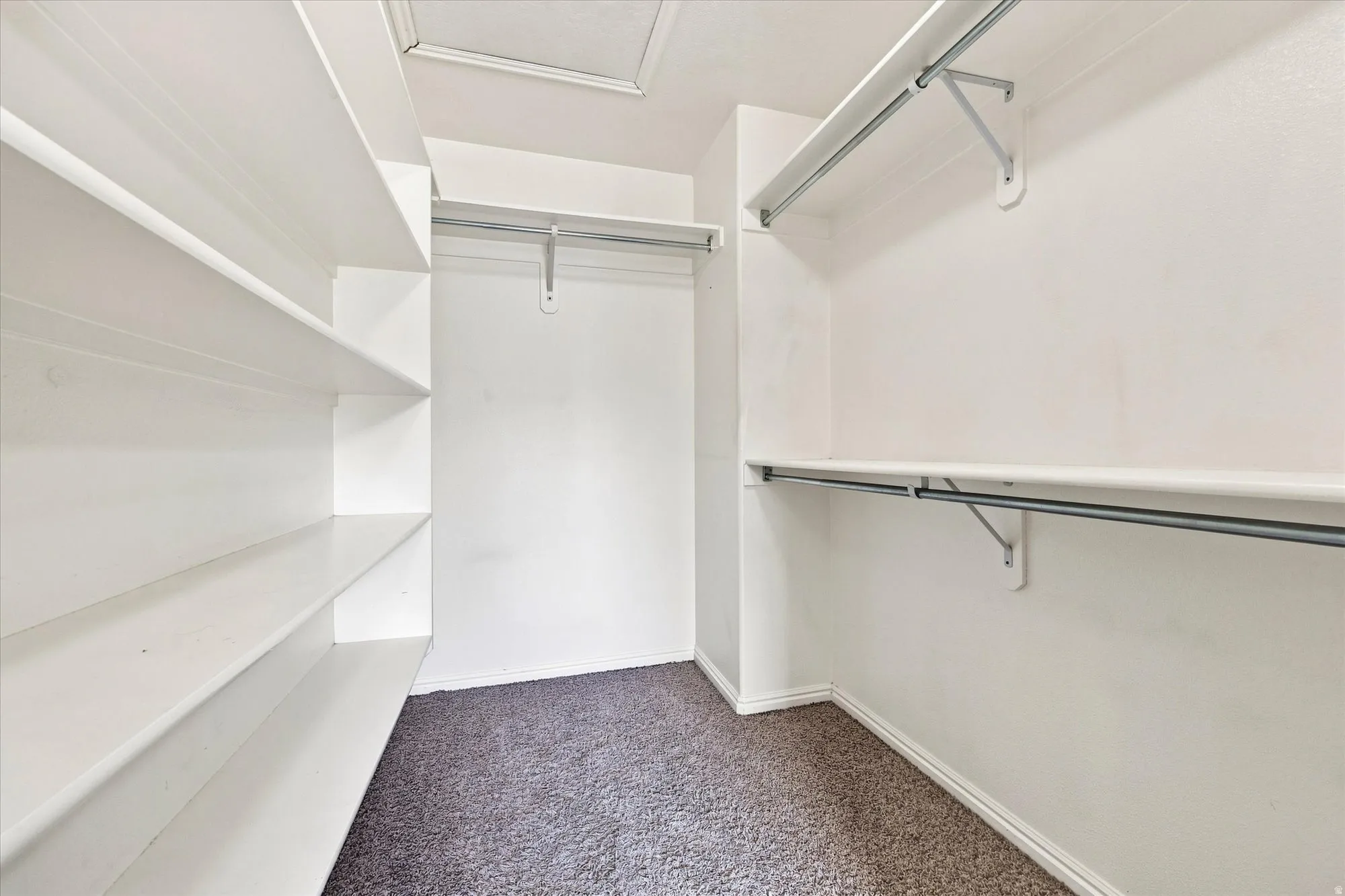 Built-in shelving, multiple hanging rods, and neutral carpeting