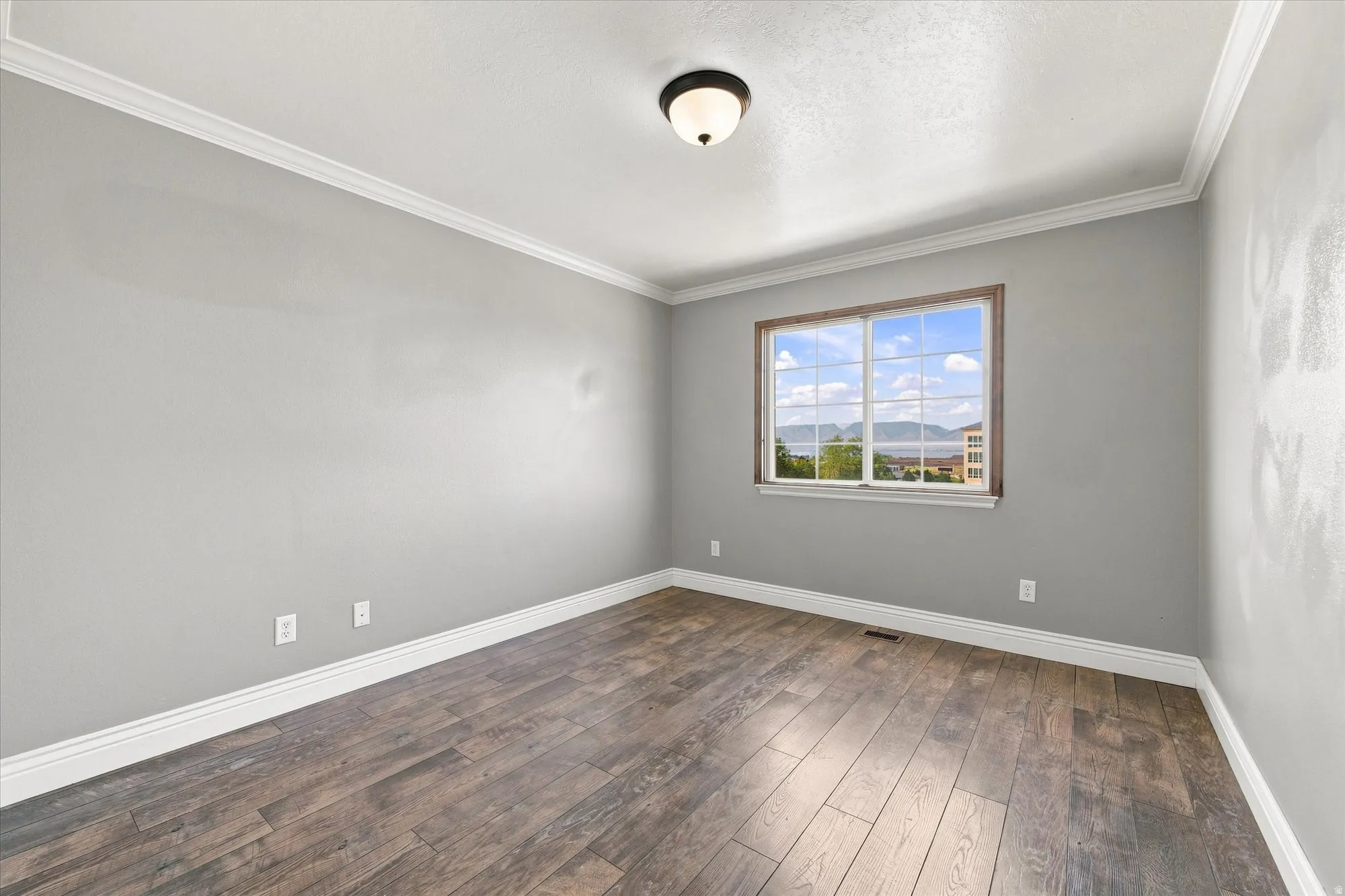 Wood-finish plank flooring, crown molding, gray wall paint, and a window with a mountain backdrop