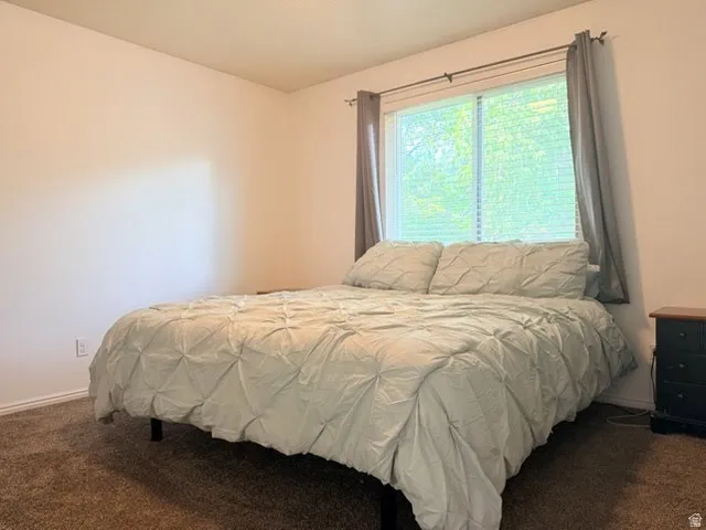 Window with privacy blinds, neutral wall paint, and carpeted flooring