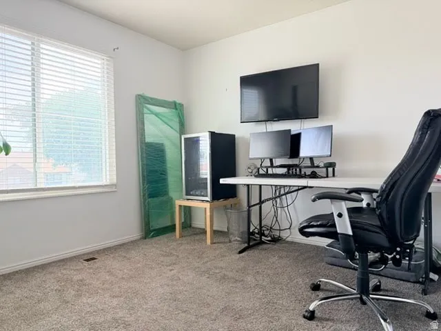 Neutral tone wall finish with a single window featuring blinds, complemented by gray carpeting