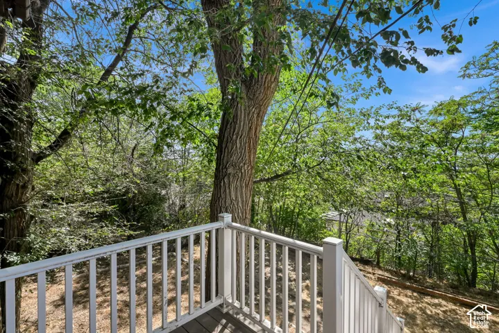 White railing with balusters and a wood-finish deck platform, surrounded by mature trees and lush foliage