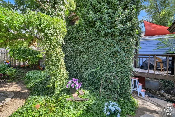 Ivy-covered exterior wall with a small window, gravel pathway, lush greenery, and a wooden fence