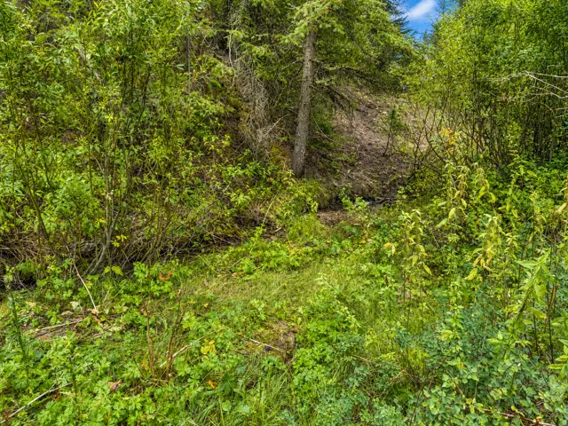 , Daniel, Utah 84032