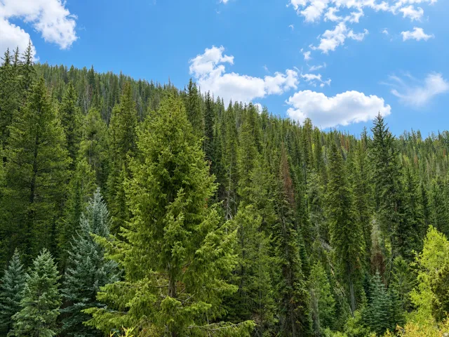 , Daniel, Utah 84032
