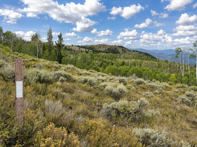 , Daniel, Utah 84032