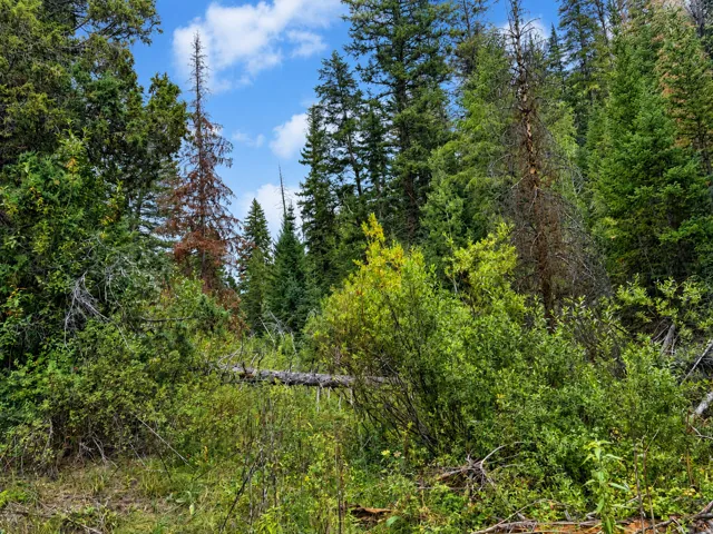 , Daniel, Utah 84032