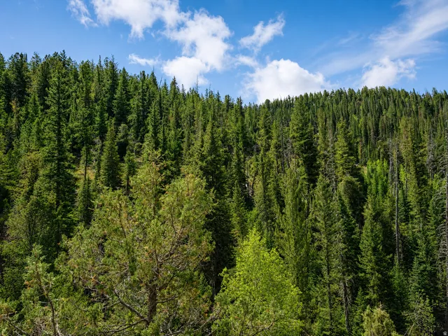 , Daniel, Utah 84032