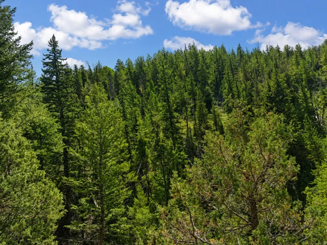 , Daniel, Utah 84032