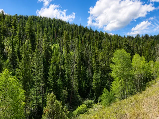 , Daniel, Utah 84032