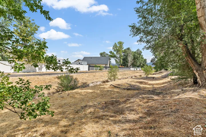 Midas Creek behind property, maintained by city
