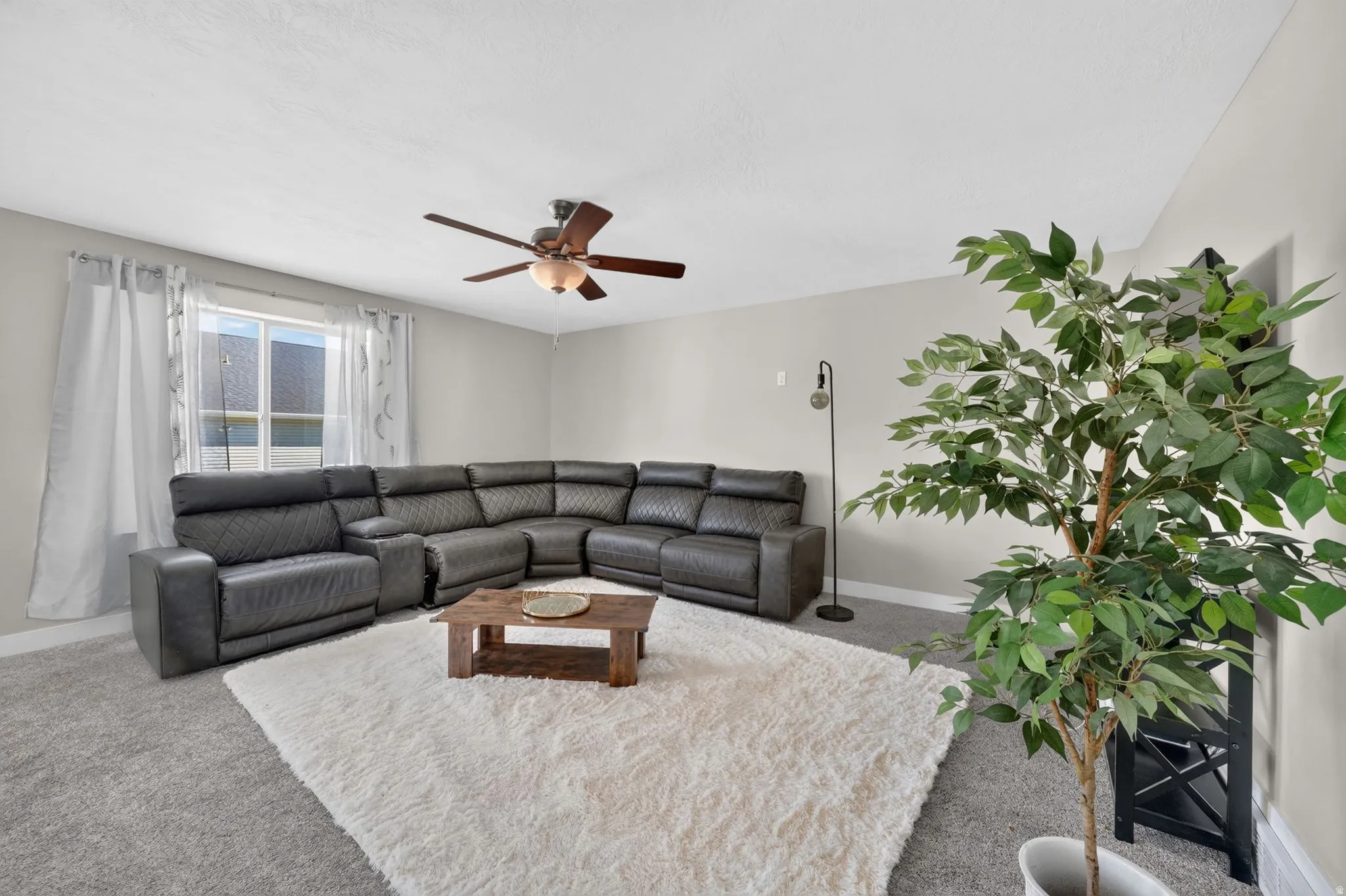 Recessed window with white trim, light gray walls, and carpet flooring