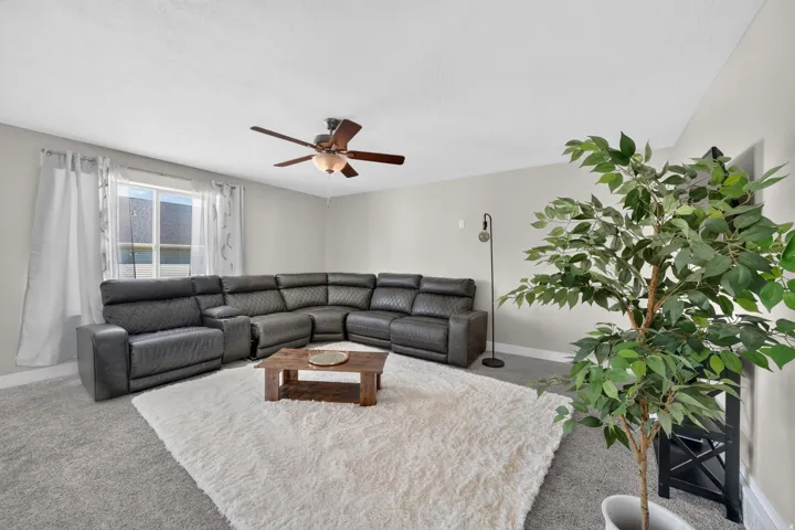 Recessed window with white trim, light gray walls, and carpet flooring