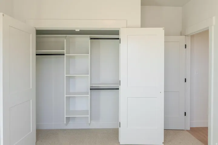 Built-in closet shelving, hanging rods, two-panel interior doors, light-colored carpet flooring, light wall paint