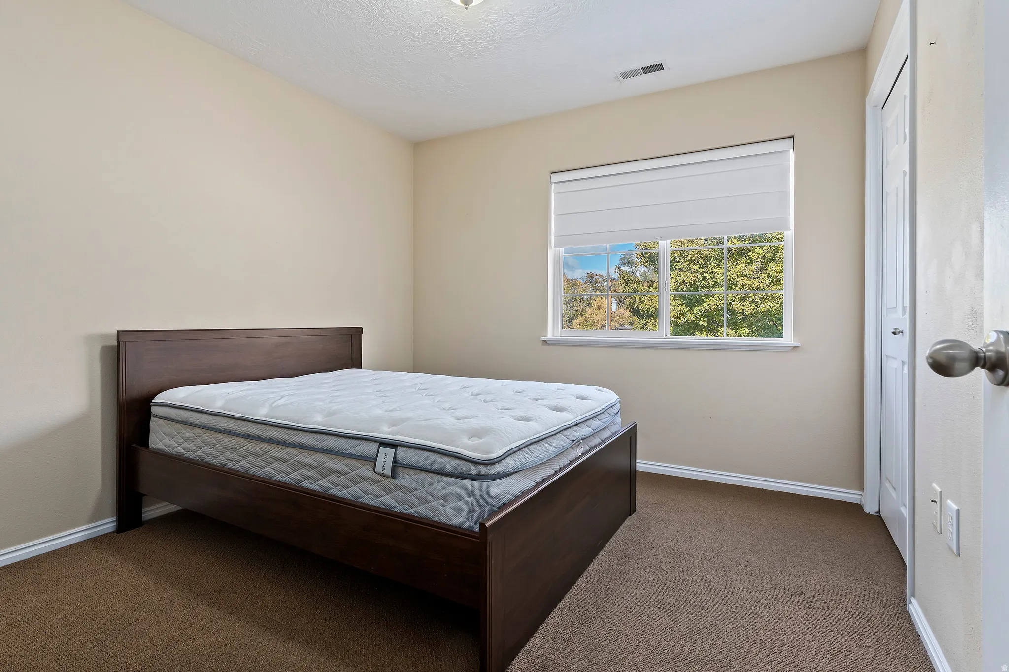 Carpeted room featuring a white-framed window with blinds, light-toned walls, and a built-in closet with a panel door