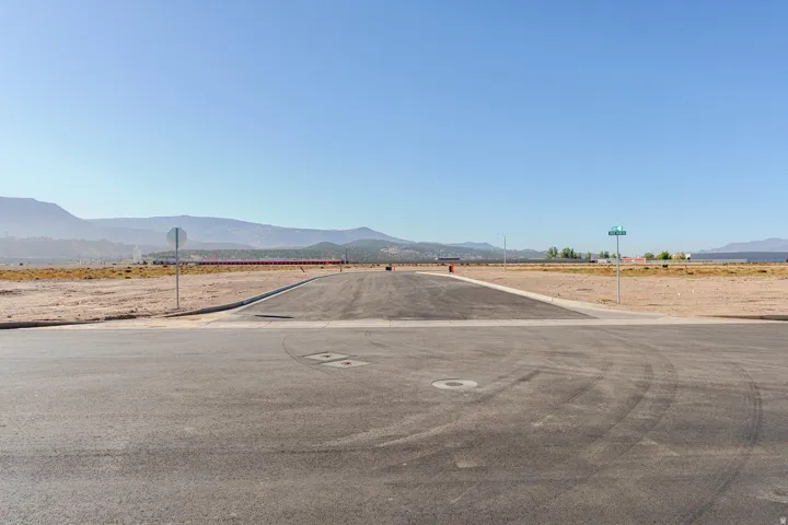 Paved road surfaces and curbs framing undeveloped land