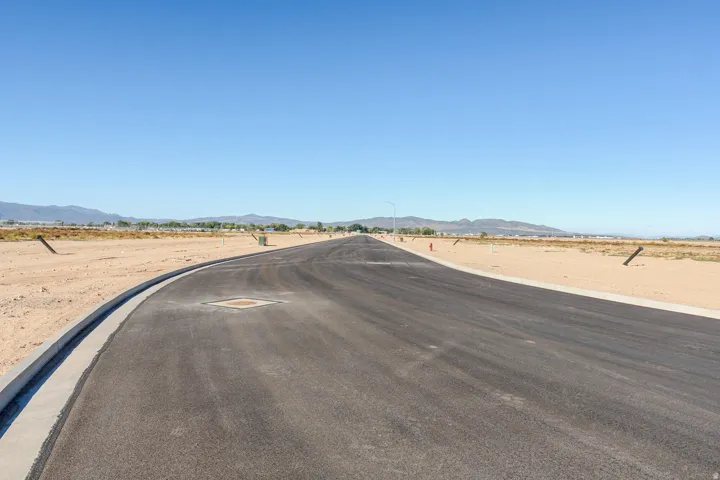 Paved street with concrete curbing, bordered by undeveloped land under a clear sky