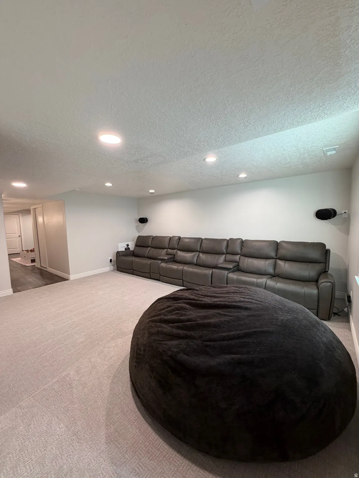 Spacious basement Family/Media Room, plenty of space for theater seating.