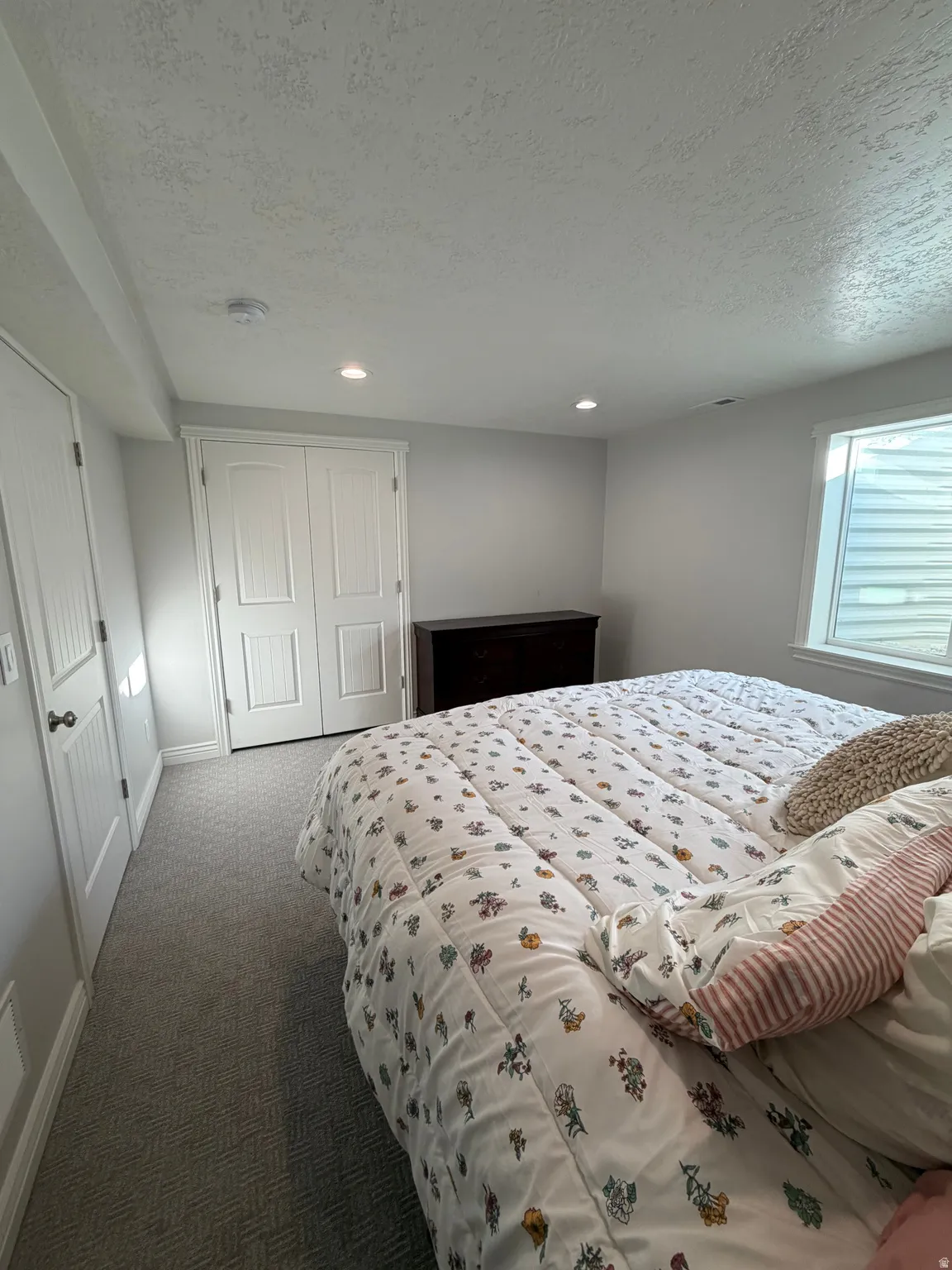Bedroom 3: Basement with large closet and plush carpet flooring