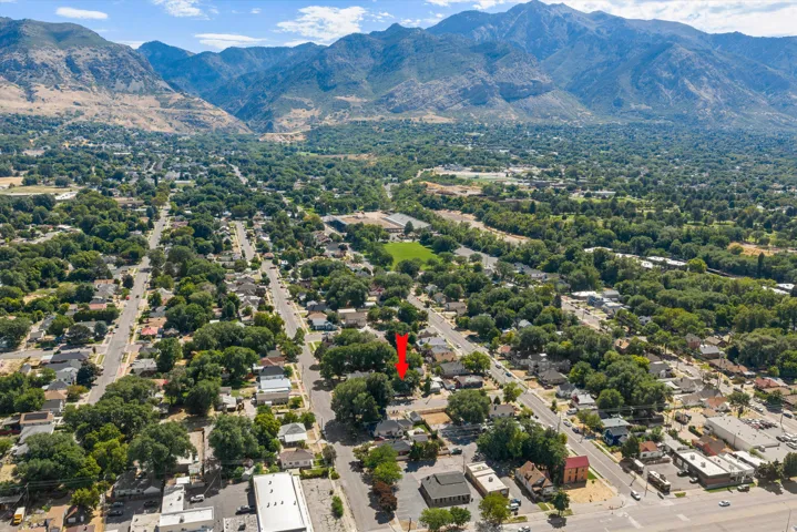 Mountain backdrop framing a residential area with mature trees and a structured street grid