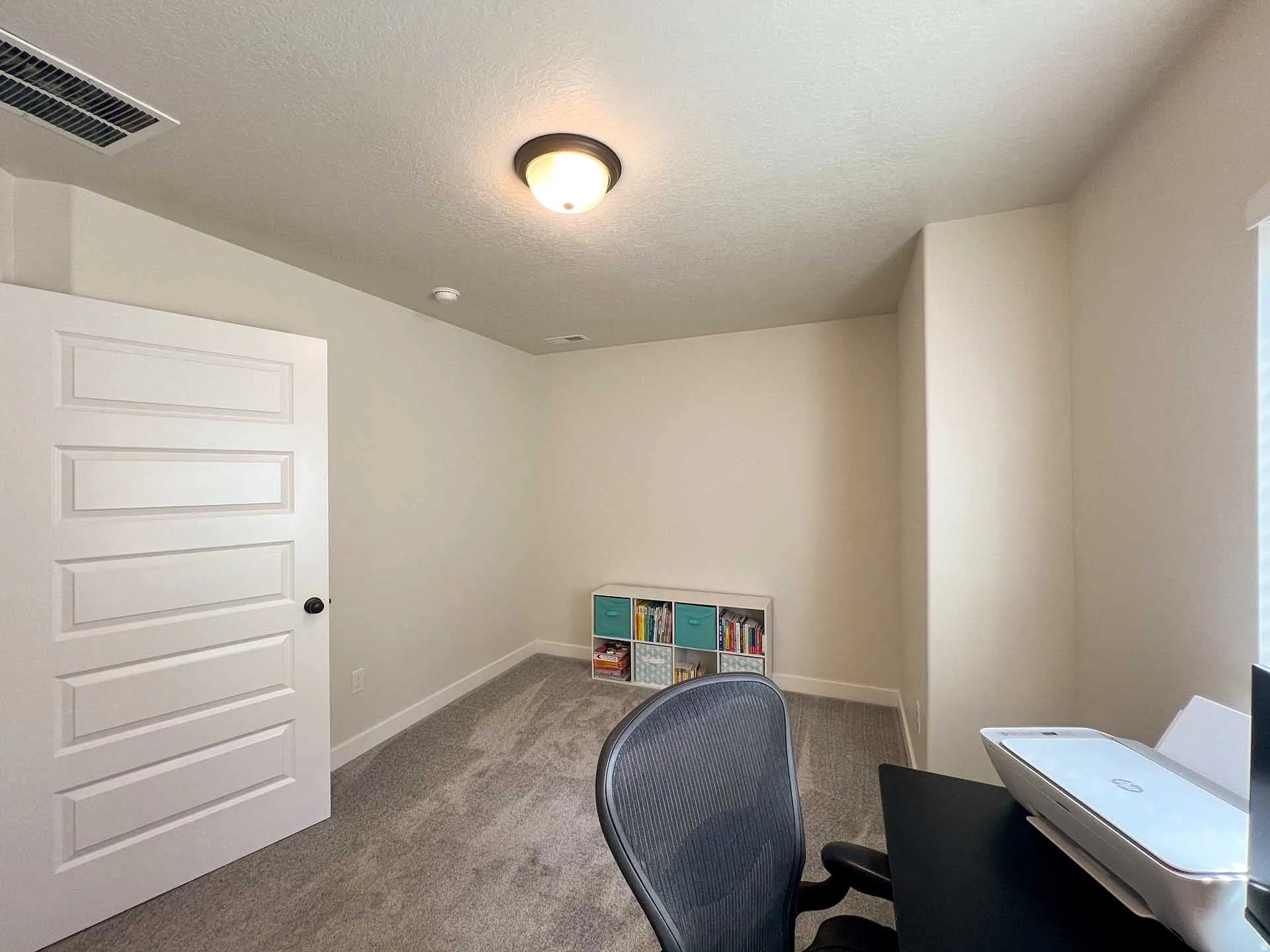 Neutral wall color, ceiling-mounted light fixture, white interior door with black hardware, and gray carpeting