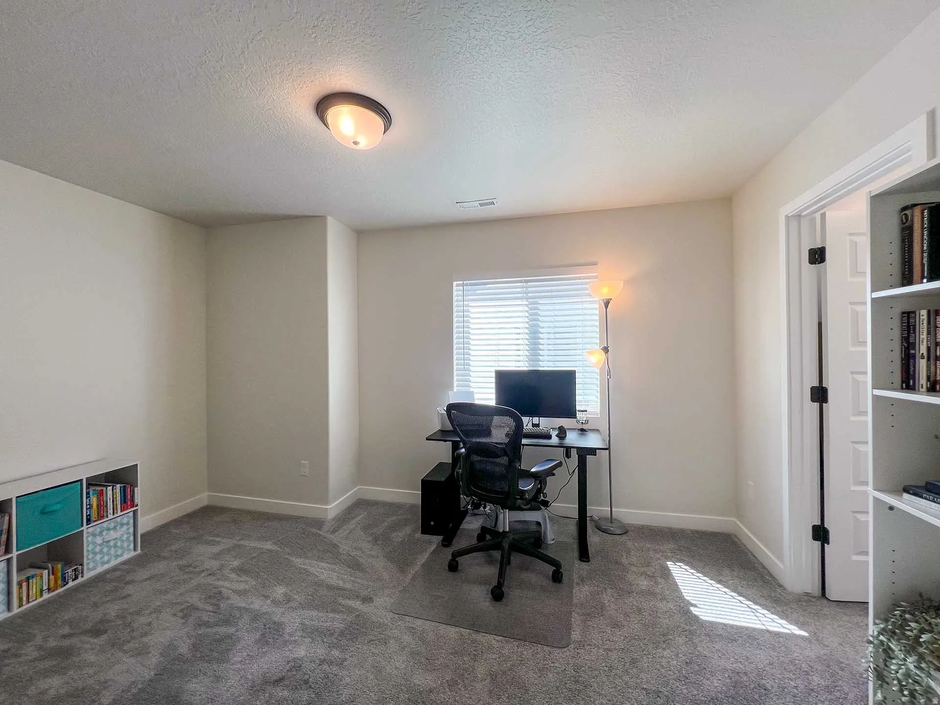 Plush carpeting, neutral wall colors, built-in shelving, window with blinds, and ceiling-mounted light fixture