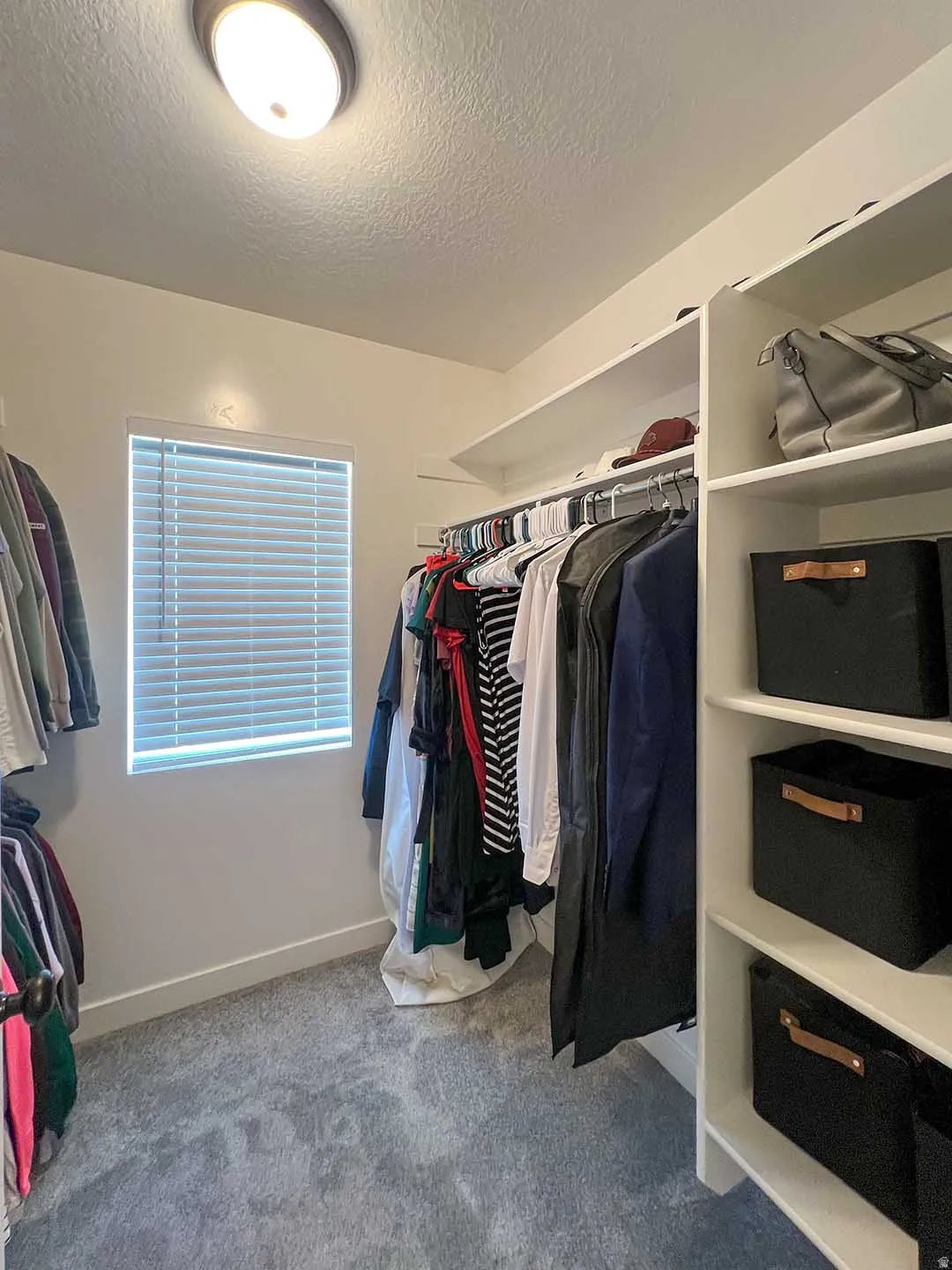 Custom built-in shelving, integrated hanging rods, window with horizontal blinds, flush mount ceiling light, and carpet flooring
