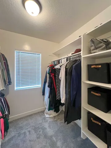 Custom built-in shelving, integrated hanging rods, window with horizontal blinds, flush mount ceiling light, and carpet flooring
