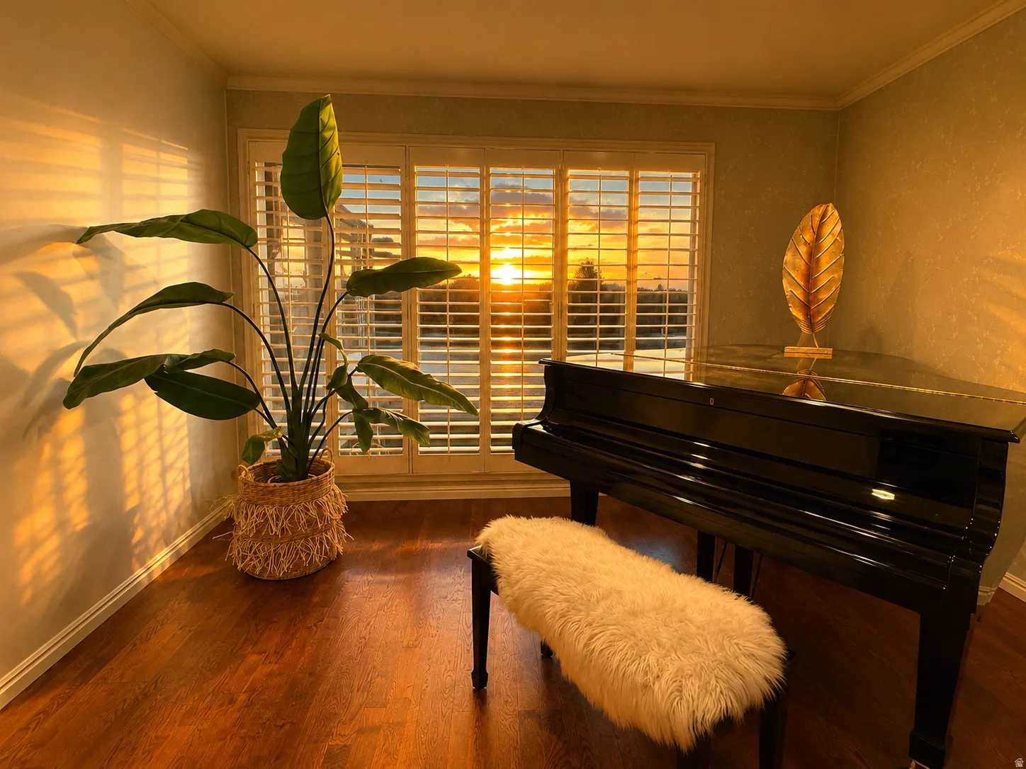 Window with plantation shutters and hardwood flooring