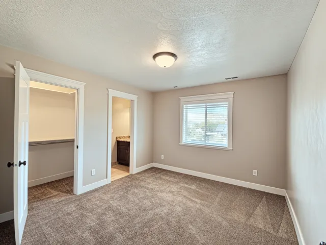 Plush carpeting, a single window with blinds, and a flush-mount ceiling light with a large walk in closet.