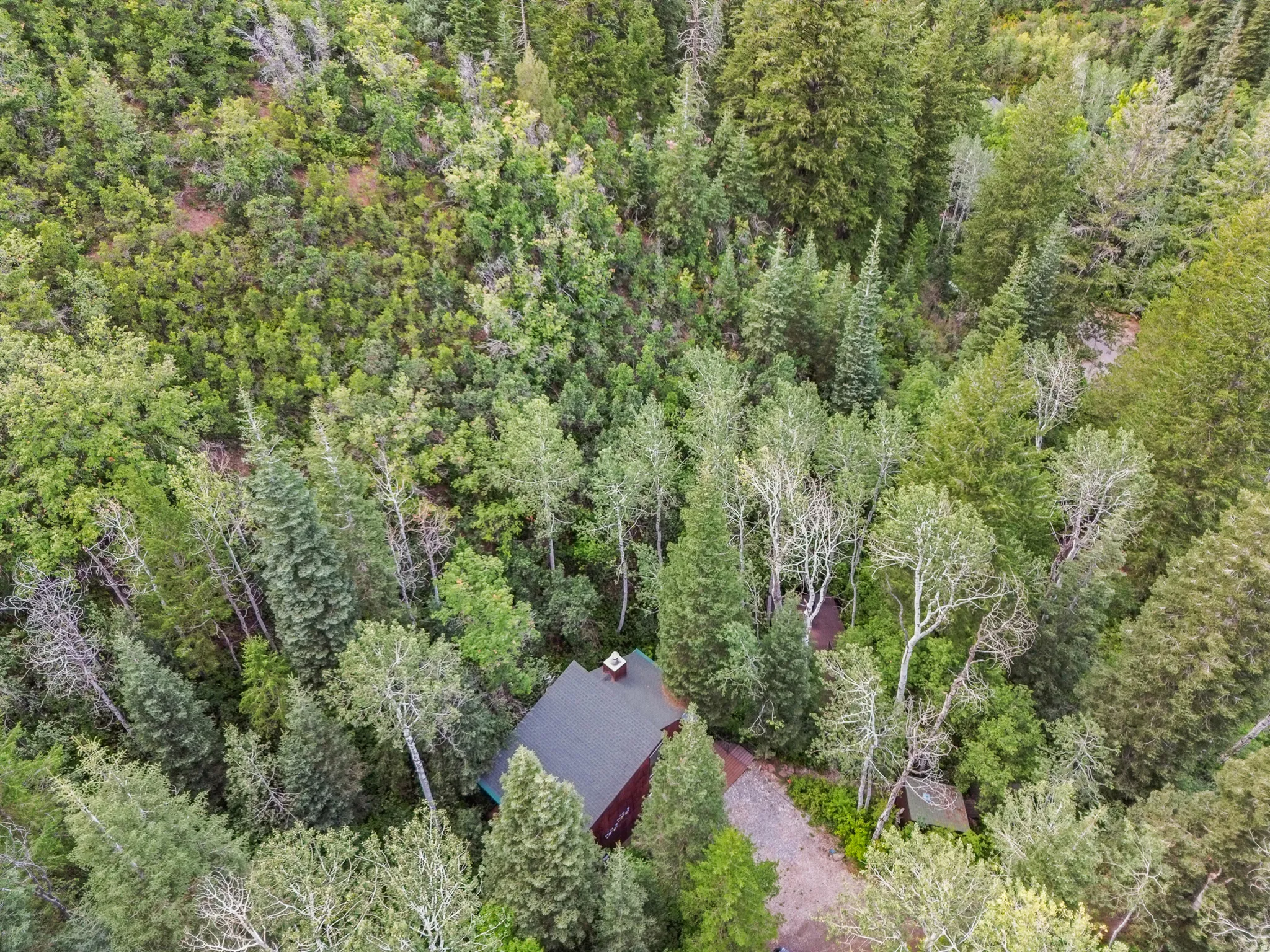 Aerial view of property