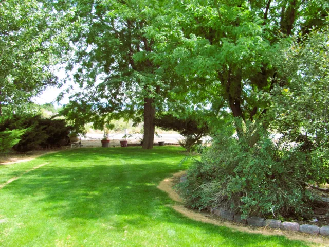 Expansive lawn bordered by mature trees and landscaping