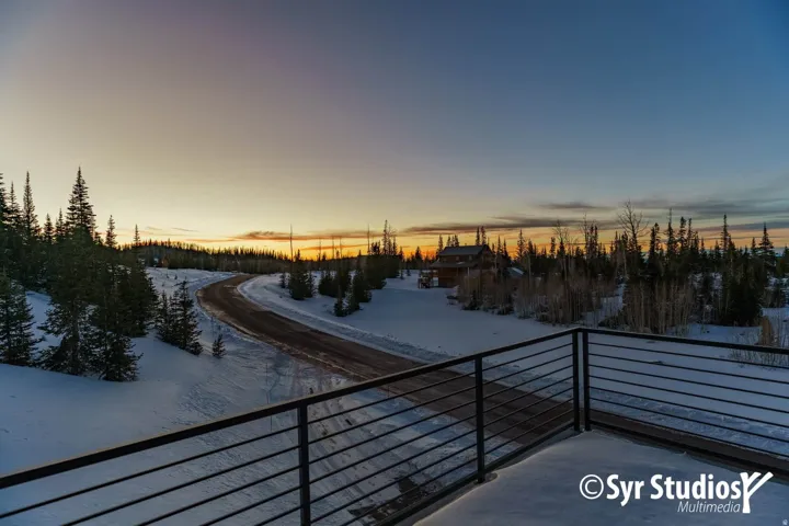 Expansive natural landscape with evergreen trees and snow-covered ground