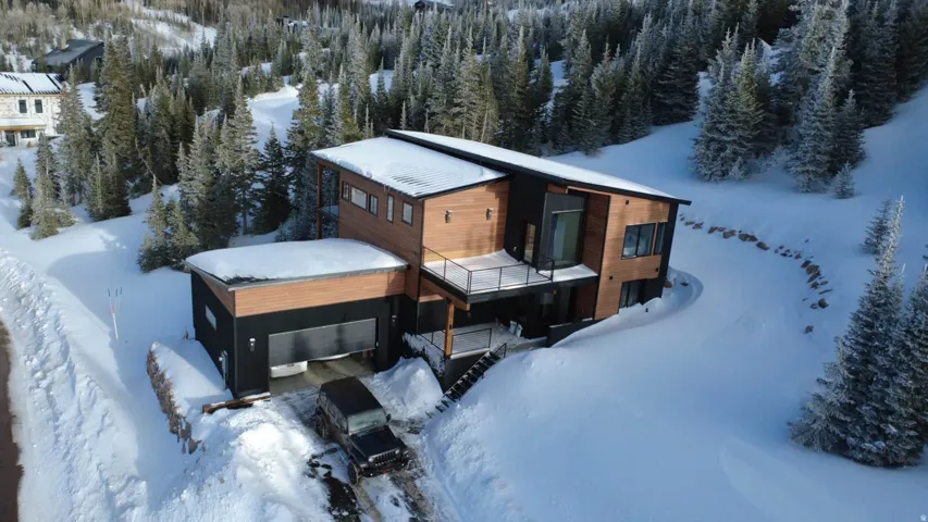 Modern architecture featuring wood-finish siding, dark facade accents, and extensive glazing
