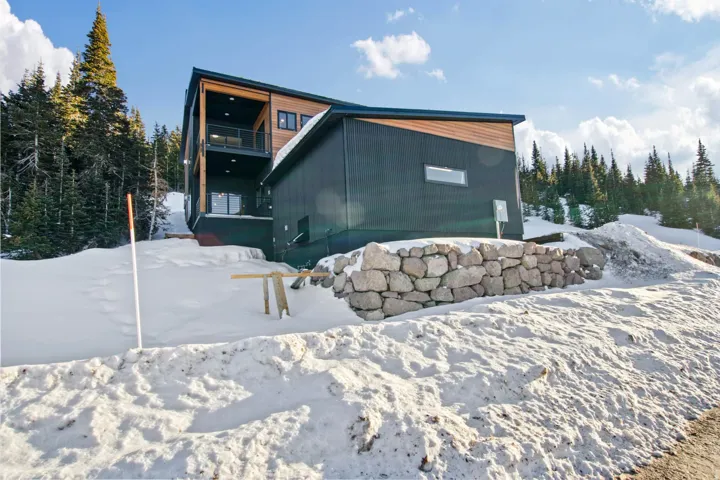 Modern exterior with dark paneling and wood-finish siding