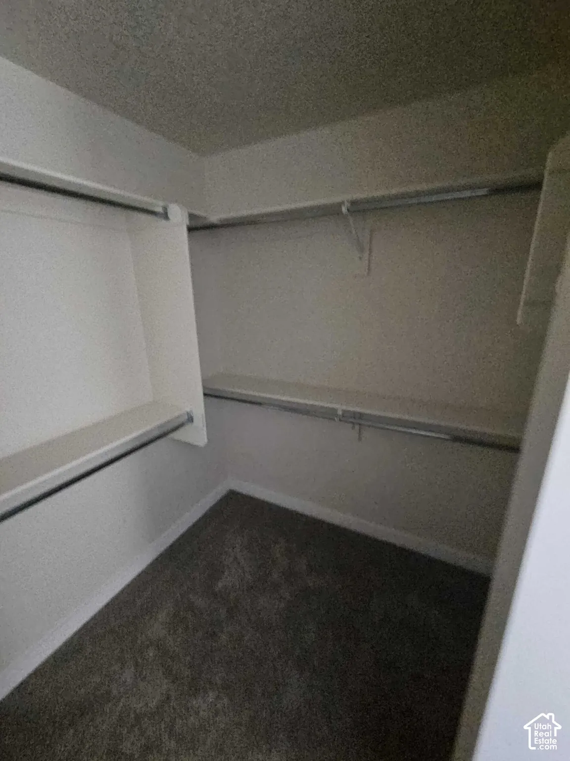Closet with wall-mounted shelving, integrated hanging rods, and carpet flooring