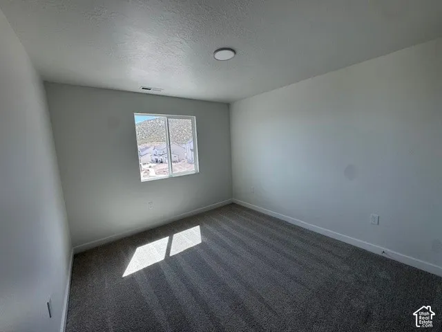 Neutral wall tones, gray carpeting, a single window, and a flush-mount ceiling light