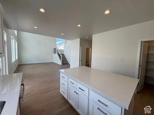 Open-concept layout featuring wood-finish flooring, white shaker cabinetry, recessed lighting, and a pantry with built-in shelving