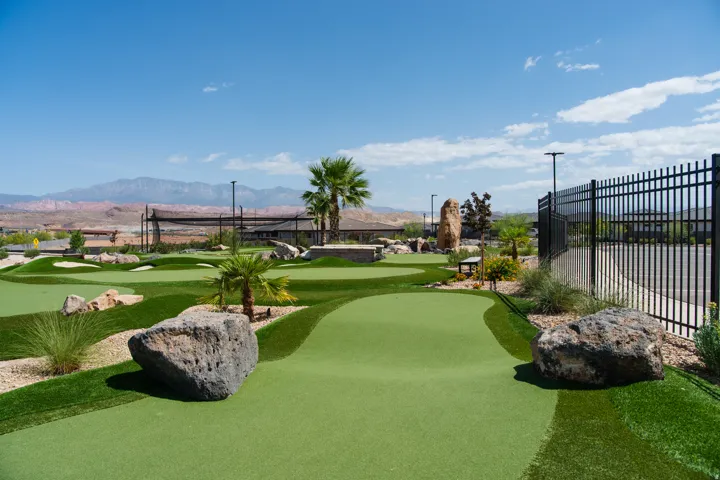 Putting green with artificial turf, surrounded by desert landscaping and mature palm trees