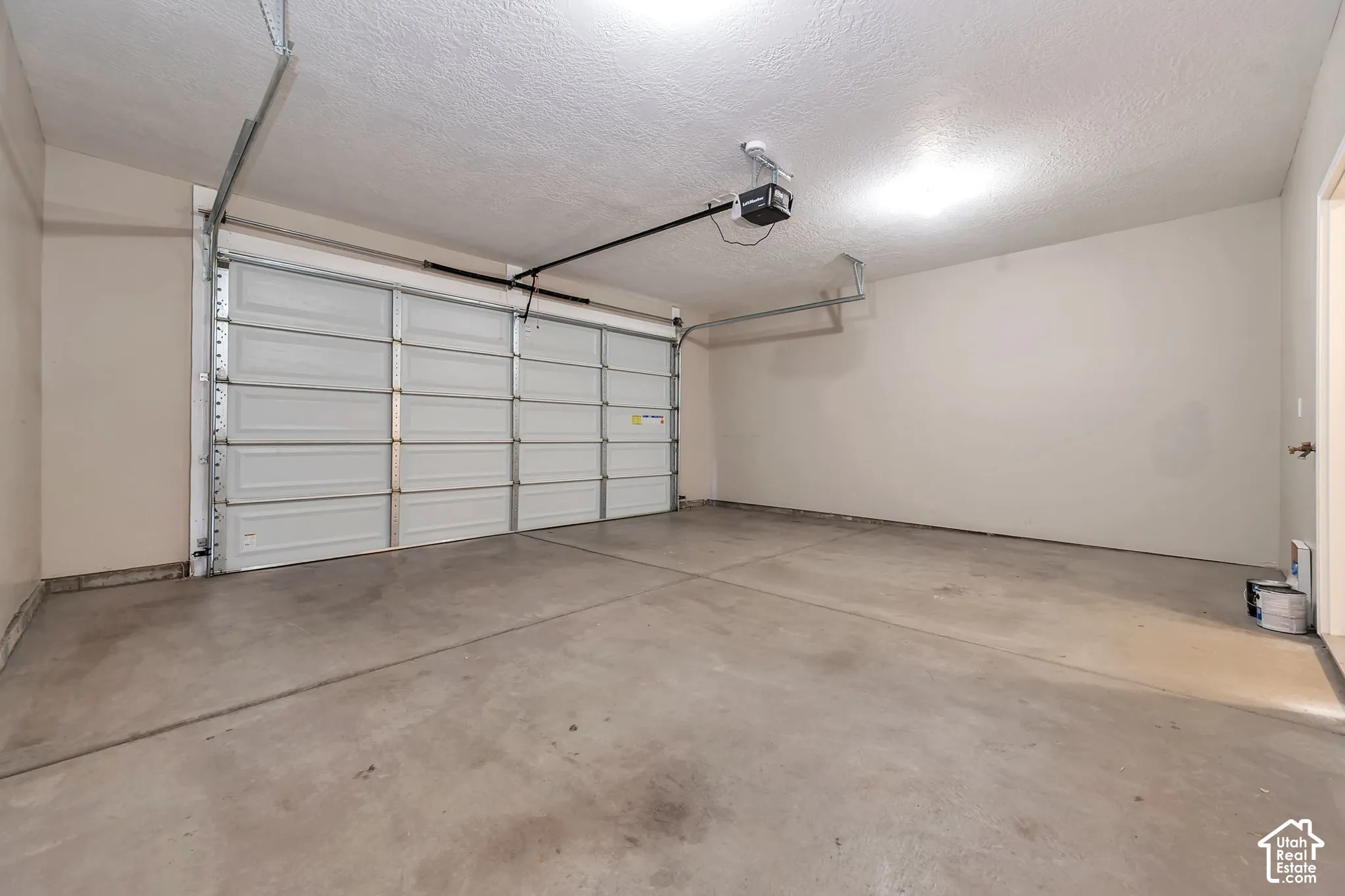 Concrete flooring and a paneled garage door