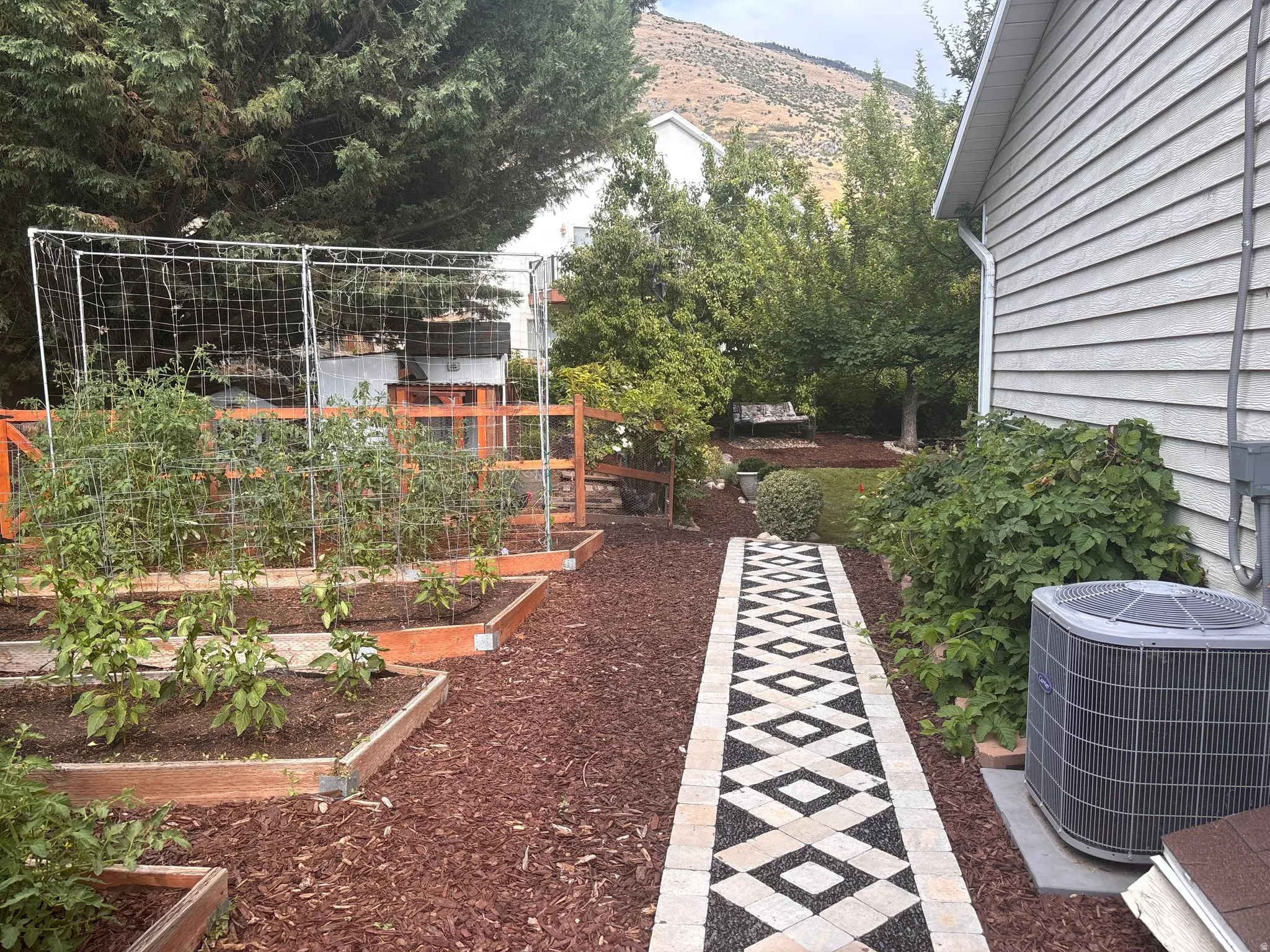 Stone paver path on sideyard