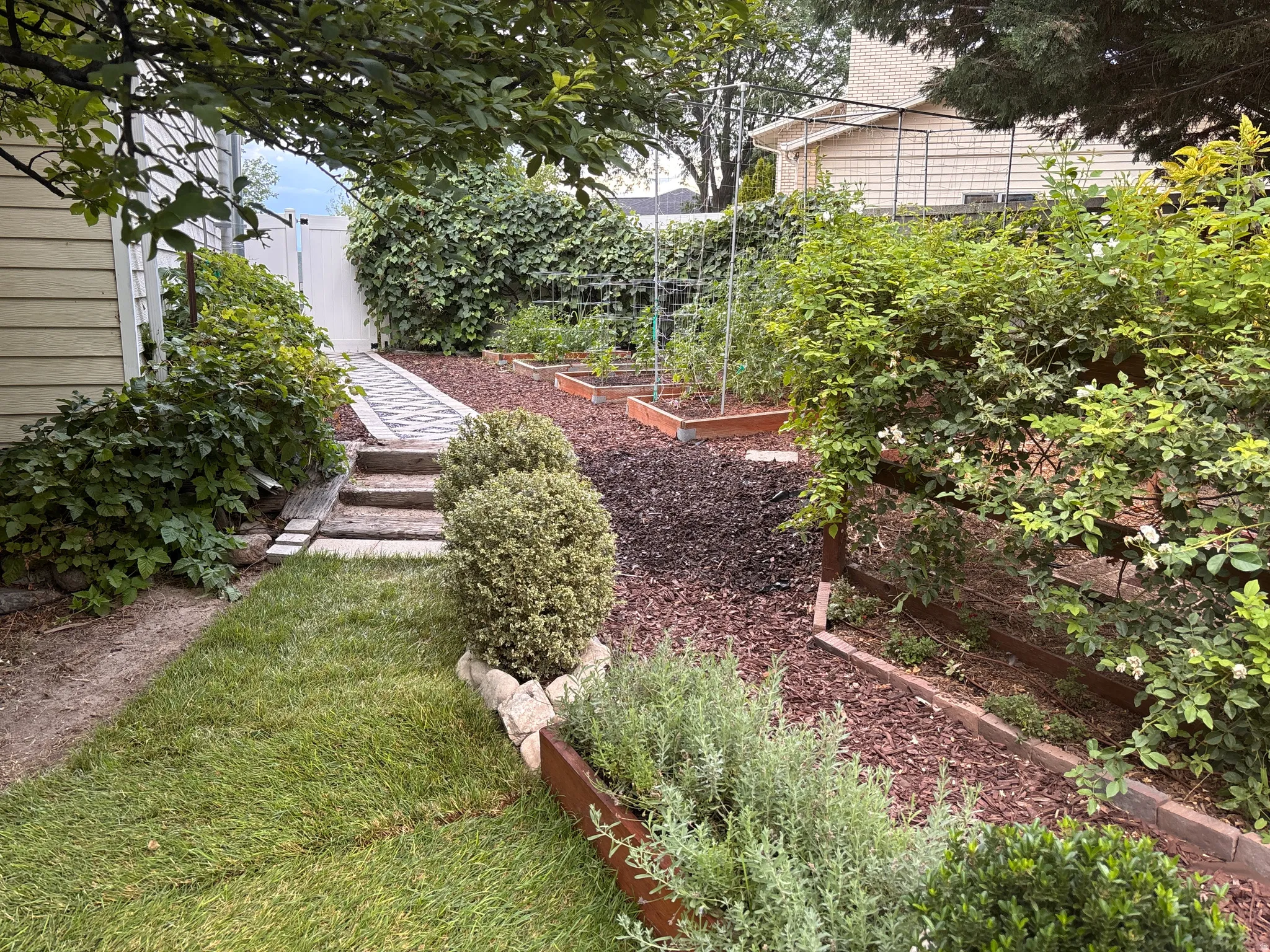 Stone path on sideyard