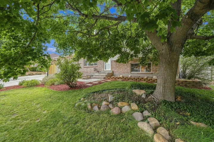 Mature shade tree anchors this lush front lawn, complemented by established landscaping beds with stone edging and vibrant plantings