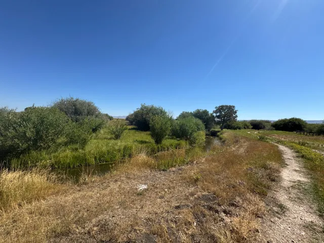 Natural landscape featuring a clear sky, an unpaved path, a water feature, and mature trees