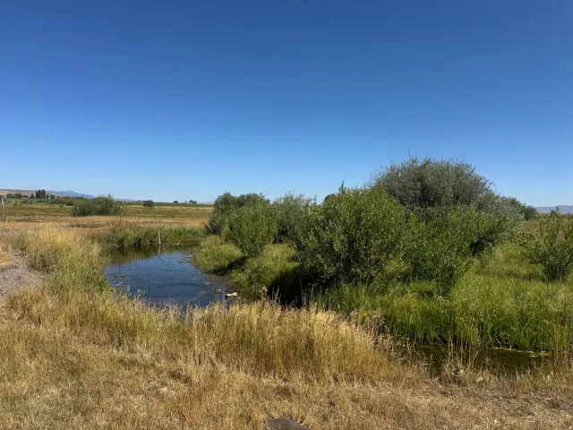 Natural waterway with lush green vegetation and arid golden grasses