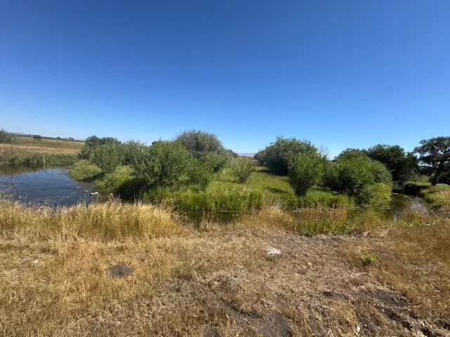 Expansive outdoor space featuring a natural water element, mature trees, and varied terrain with both dry and green grasses
