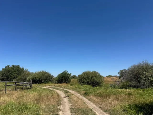 Expansive grounds featuring a natural landscape and an unpaved road