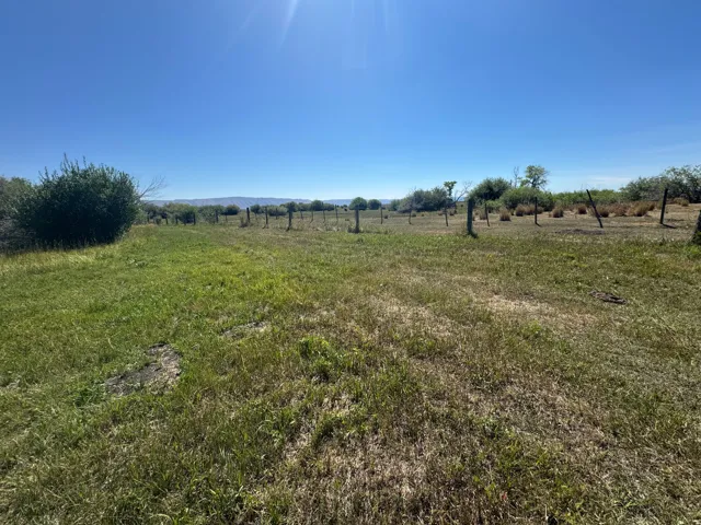 Expansive open land featuring diverse vegetation and distant natural scenery
