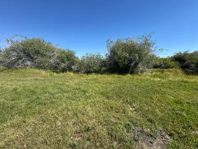 Expansive open land with natural foliage