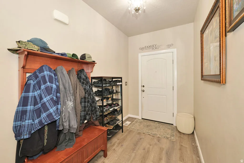 Entryway with light wood-finish flooring and a white paneled door